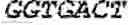 Fig. 07 - ANTIBODY PRODUCING NON-HUMAN ANIMALS
