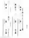 Fig. 60 - ANTIBODY PRODUCING NON-HUMAN ANIMALS