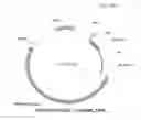 Fig. 63 - ANTIBODY PRODUCING NON-HUMAN ANIMALS