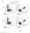 Fig. 79 - ANTIBODY PRODUCING NON-HUMAN ANIMALS