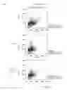 Fig. 71 - Antibody producing non-human animals