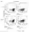 Fig. 80 - Antibody producing non-human animals