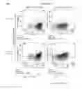 Fig. 80 - ANTIBODY PRODUCING NON-HUMAN ANIMALS