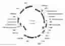 Fig. 01 - ANTIBODY PRODUCING NON-HUMAN ANIMALS