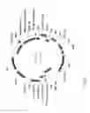 Fig. 67 - ANTIBODY PRODUCING NON-HUMAN ANIMALS