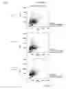 Fig. 71 - ANTIBODY PRODUCING NON-HUMAN ANIMALS