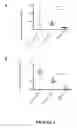 Fig. 07 - INHIBITION OF THE SYNTHESIS OF BETA-APP OR OF THE ACTIVITY OF THE A-BETA PEPTIDE IN THE CHOROID PLEXUS