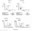 Fig. 03 - Methods, compositions and dosing regimens for treating or preventing interferon-gamma related indications