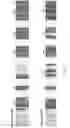 Fig. 14 - Anti-ROR1 antibodies