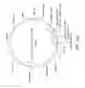 Fig. 17 - Anti-ROR1 antibodies