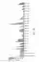 Fig. 32 - Anti-ROR1 antibodies