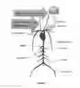 Fig. 03 - Methods for Treating Corneal and Conjunctival Inflammation and Inflammatory Disorders