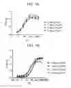 Fig. 02 - THERAPEUTIC CD47 ANTIBODIES