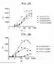 Fig. 03 - THERAPEUTIC CD47 ANTIBODIES
