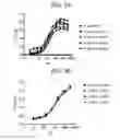 Fig. 04 - THERAPEUTIC CD47 ANTIBODIES