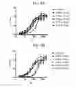 Fig. 06 - THERAPEUTIC CD47 ANTIBODIES