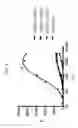 Fig. 08 - THERAPEUTIC CD47 ANTIBODIES