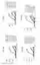 Fig. 09 - THERAPEUTIC CD47 ANTIBODIES