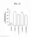 Fig. 17 - THERAPEUTIC CD47 ANTIBODIES