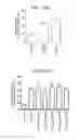 Fig. 19 - THERAPEUTIC CD47 ANTIBODIES