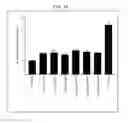 Fig. 24 - THERAPEUTIC CD47 ANTIBODIES
