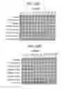 Fig. 40 - THERAPEUTIC CD47 ANTIBODIES