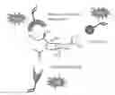 Fig. 01 - Molecularly imprinted polymers