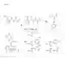 Fig. 06 - Molecularly imprinted polymers