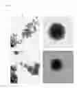 Fig. 10 - Molecularly imprinted polymers