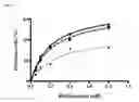 Fig. 19 - Molecularly imprinted polymers