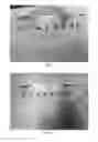 Fig. 02 - PROPPANT SAND COATING FOR DUST REDUCTION