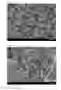 Fig. 04 - Fluorescent material, method of producing same, and light emitting device