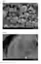 Fig. 06 - Fluorescent material, method of producing same, and light emitting device