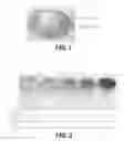 Fig. 02 - Lubricant composition for high-temperature applications