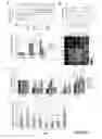 Fig. 08 - REVERSION OF PRIMED PLURIPOTENT STEM CELLS TO NAIVE PLURIPOTENT STEM CELLS