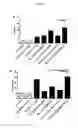 Fig. 02 - NATURAL KILLER CELL PRIMING COMPOSITION
