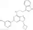 Fig. 153 - COMPOSITIONS AND METHODS FOR ENHANCED GENERATION OF HEMATOPOIETIC STEM/PROGENITOR CELLS