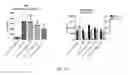 Fig. 18 - COMPOSITIONS AND METHODS FOR ENHANCED GENERATION OF HEMATOPOIETIC STEM/PROGENITOR CELLS