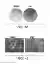 Fig. 06 - Pancreatic stromal progenitor cells