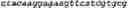 Fig. 113 - NOVEL ACYLTRANSFERASES, VARIANT THIOESTERASES, AND USES THEREOF