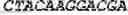 Fig. 24 - NOVEL ACYLTRANSFERASES, VARIANT THIOESTERASES, AND USES THEREOF