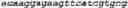 Fig. 75 - NOVEL ACYLTRANSFERASES, VARIANT THIOESTERASES, AND USES THEREOF