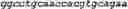 Fig. 78 - NOVEL ACYLTRANSFERASES, VARIANT THIOESTERASES, AND USES THEREOF
