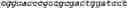 Fig. 84 - NOVEL ACYLTRANSFERASES, VARIANT THIOESTERASES, AND USES THEREOF