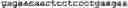 Fig. 90 - NOVEL ACYLTRANSFERASES, VARIANT THIOESTERASES, AND USES THEREOF