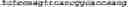 Fig. 99 - NOVEL ACYLTRANSFERASES, VARIANT THIOESTERASES, AND USES THEREOF