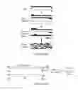 Fig. 05 - Hyperactive piggybac transposases