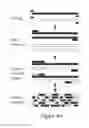 Fig. 06 - Hyperactive piggybac transposases