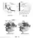 Fig. 03 - REPORTER CAS9 VARIANTS AND METHODS OF USE THEREOF