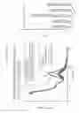 Fig. 12 - REPORTER CAS9 VARIANTS AND METHODS OF USE THEREOF